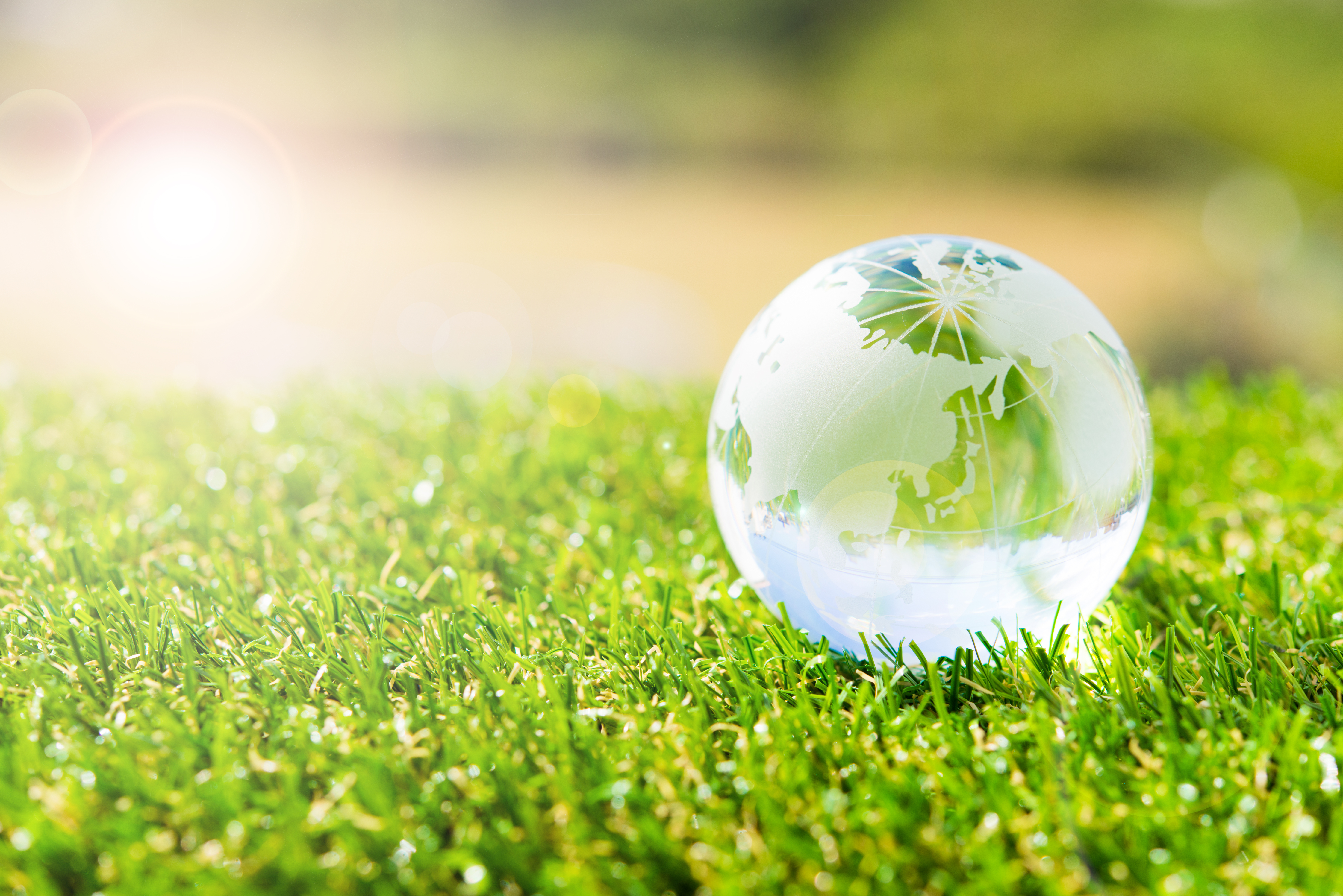 蛯名正義騎手と国枝栄厩舎のタッグで芝1600mの新馬戦