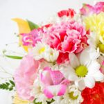 ベルカントと臨んだスプリンターズステークス結果