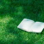 ディーマジェスティの次走有馬記念はないでしょう