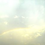 レッドローゼスが東京７Rのベゴニア賞に出走