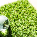 阪神JFレーヌミノルと蛯名騎手の結果