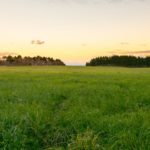 夏の北海道シリーズ参戦４週目蛯名騎手今週の騎乗馬