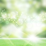 蛯名正義騎手、田中清隆厩舎、馬主嶋田賢氏のフラッシュスタイル函館デビュー戦