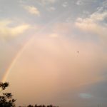 ２０１７セントライト記念を関係者コメントをもとに結果を振り返る