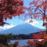 ２０１７富士ステークスをレース後関係者コメントをもとに振り返り結果を回顧