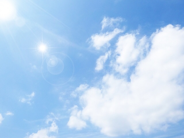 レッドローゼス１.５倍の１番人気に応え快勝